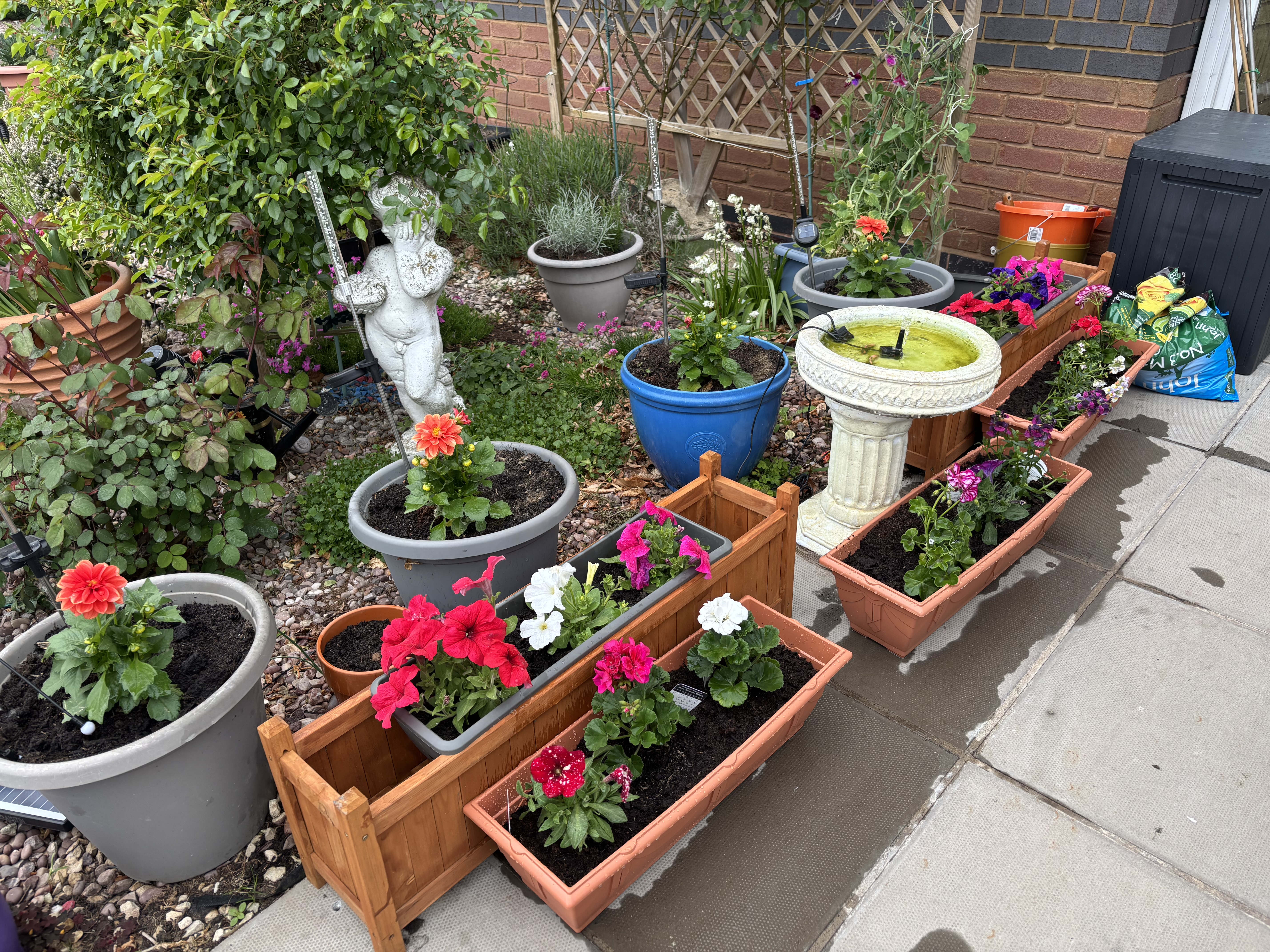 photo of garden pots with flowers