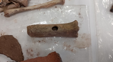 medieval bone